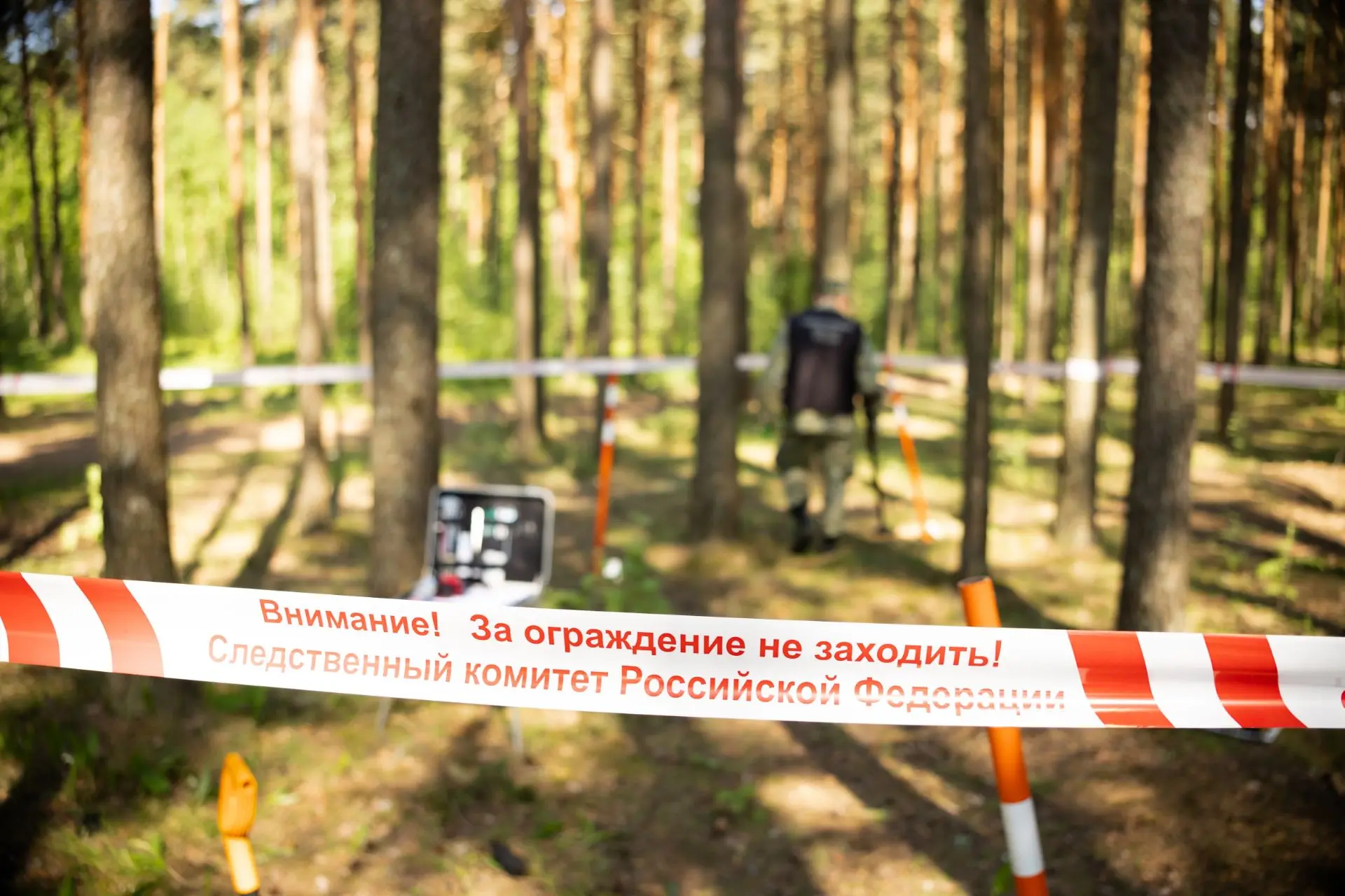 В Тверской области организована проверка по сообщению социальной сети о рубке лесных насаждений

В х