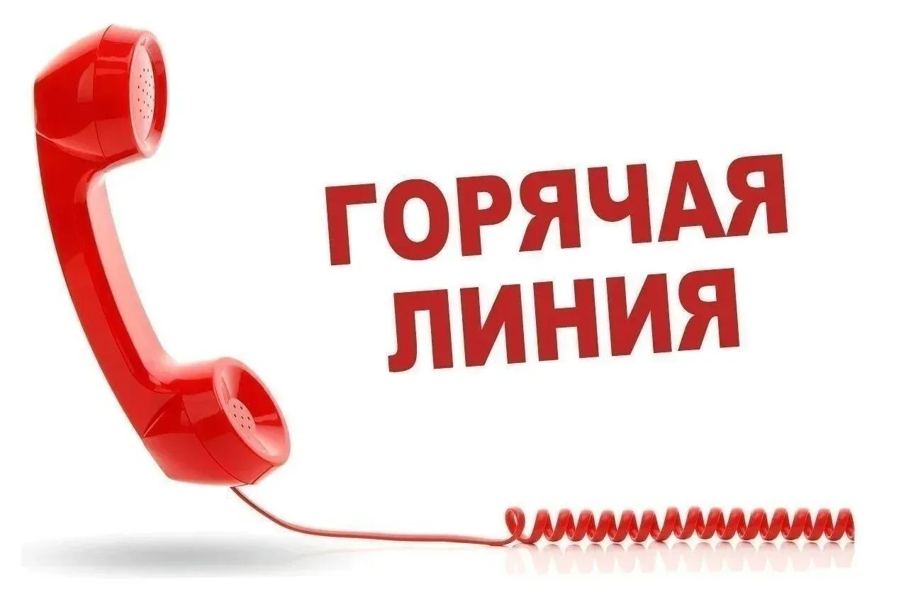 Сегодня начала работу горячая линия по вопросам качества и безопасности детских товаров...