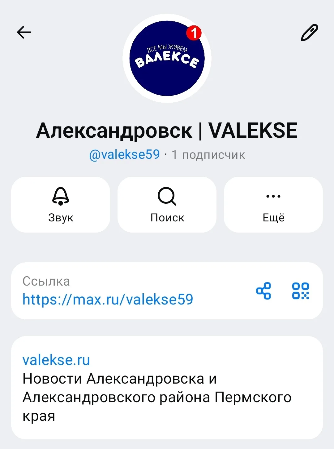Кто уже пользуется новым мессенджером Max? Для вас замечательная новость. Теперь Валекс...