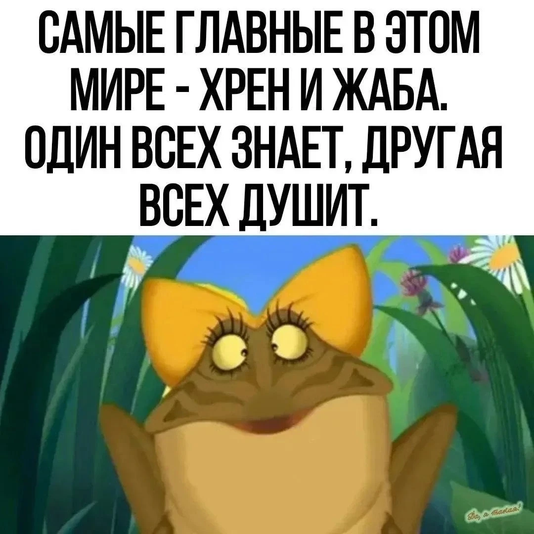 Минутка юмора 🤣🤣🤣
