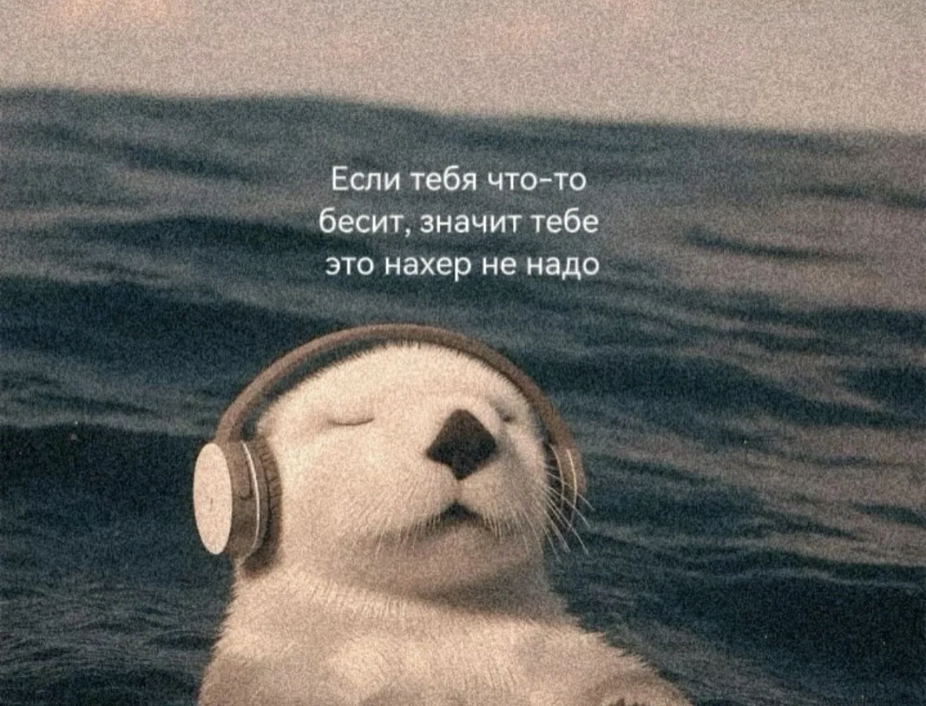 По факту 👀