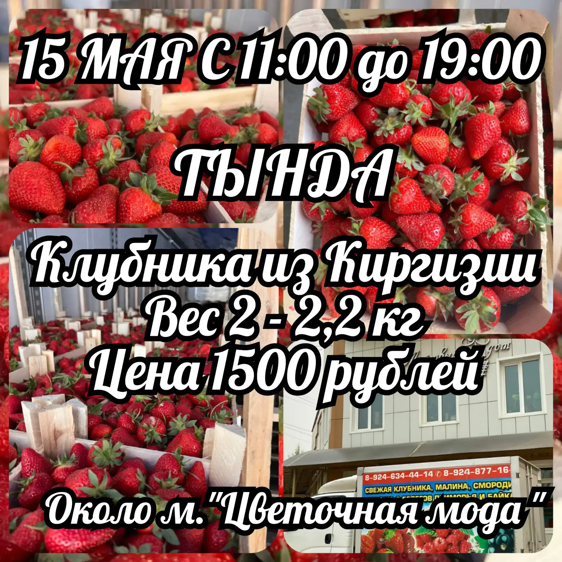 🍓 ТЫНДА 🍓   15  МАЯ — СВЕЖАЯ КЛУБНИКА ИЗ КИРГИЗИИ!   Сорт «Клери» ❤️   Крупная, сладкая, ароматная, 
