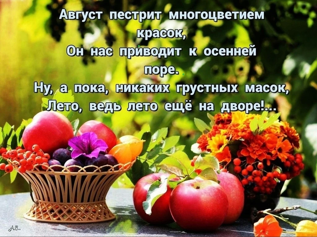 Здравствуй, август! ☀️