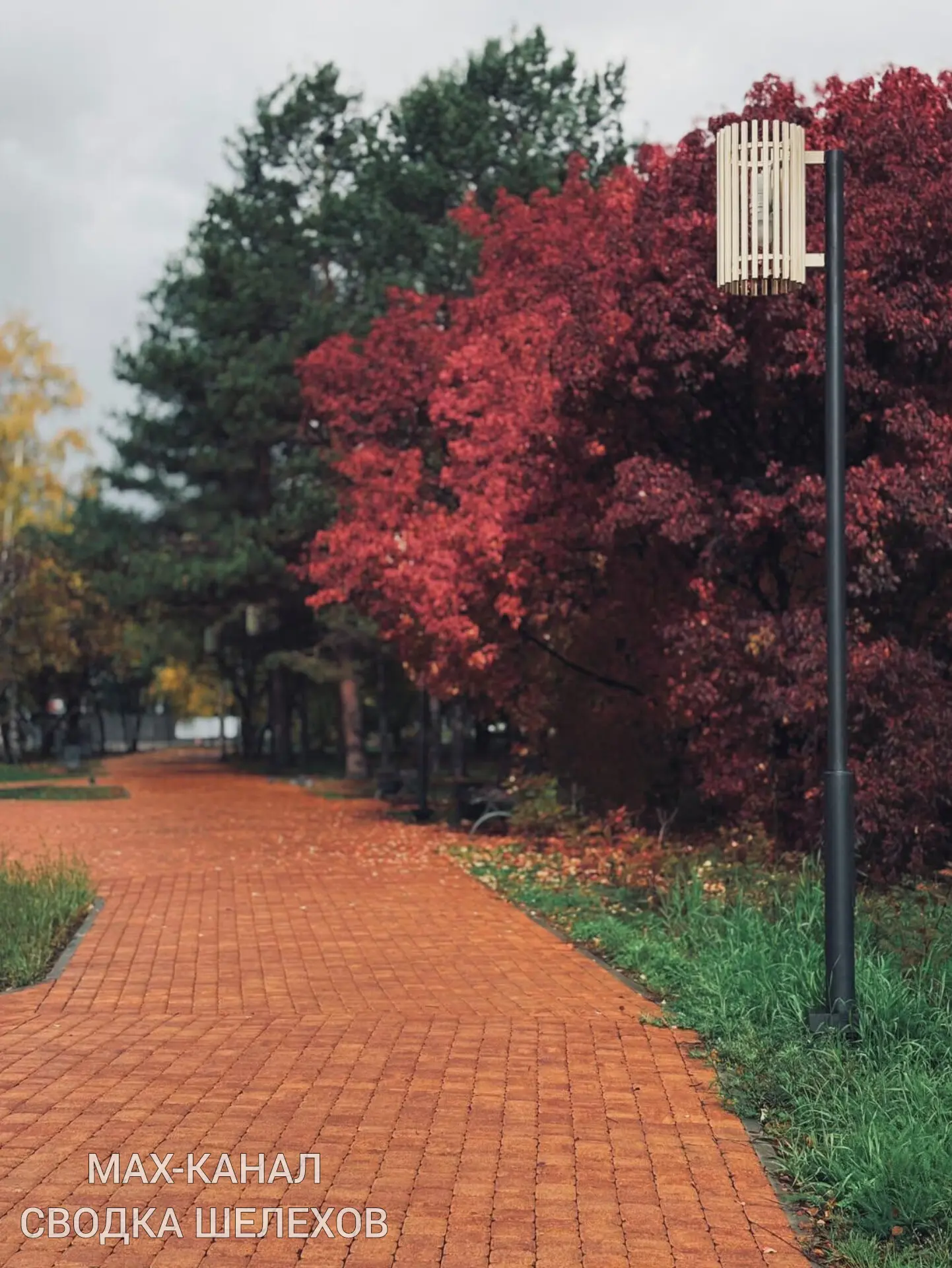 🍂 Шелехов осенью — это не фильтры, это просто наш город