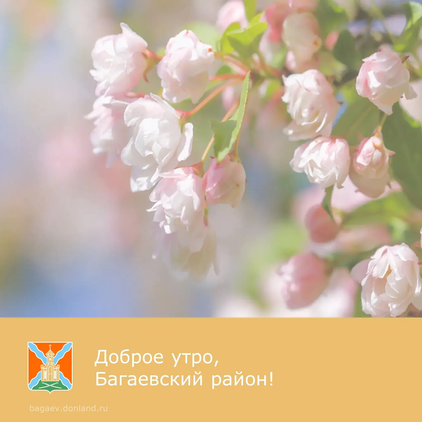 ☀️ Доброе утро, уважаемые жители Багаевского района!  ✅ Прекрасного воскресного дня.  #доброеутро #Б