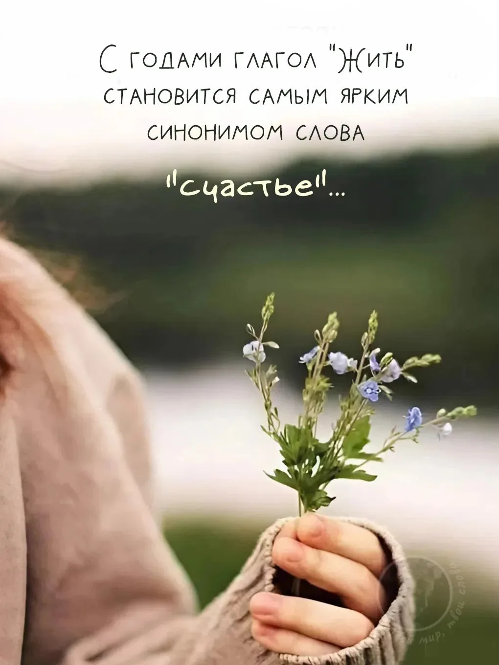 💭Проблемы человека находятся только в его голове

Поверьте, все, что с вами происходит – прежде все