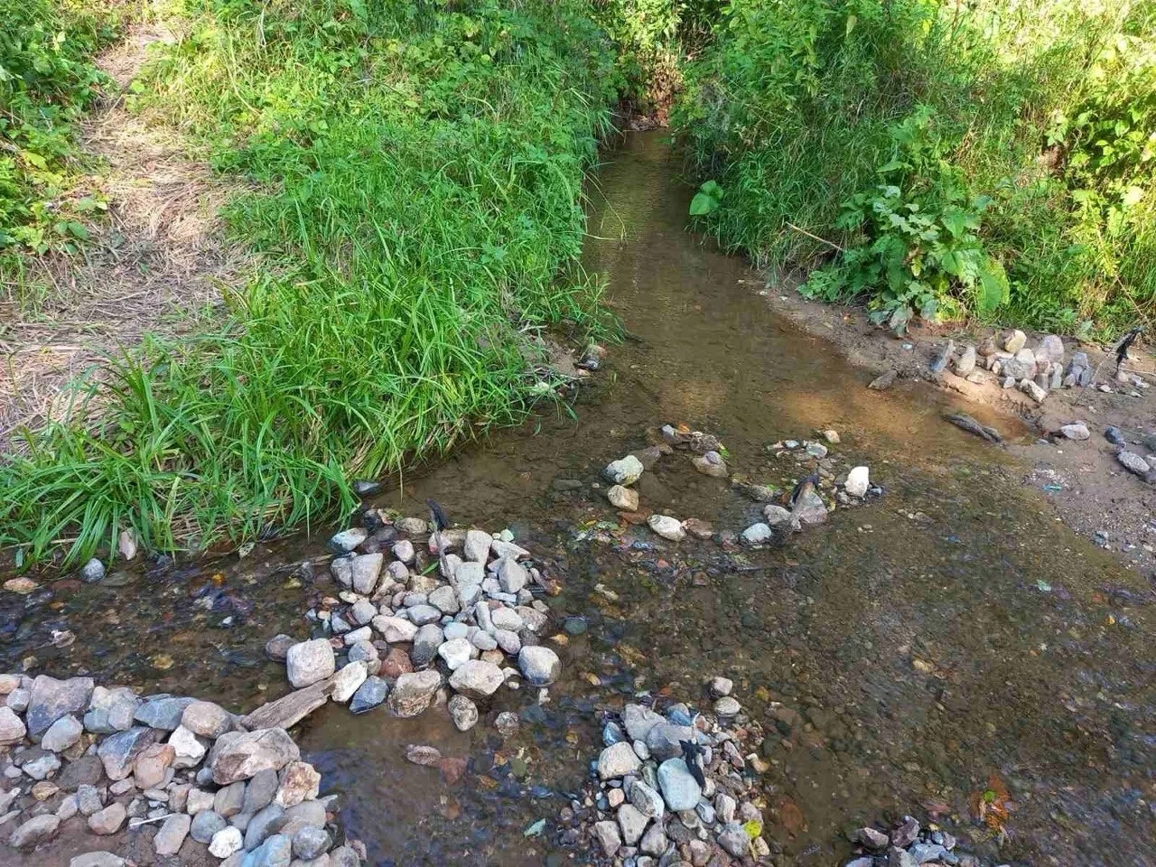 🏞 В Ярославской области на особо охраняемой территории выделили зону для парка

В Тутаевском округе