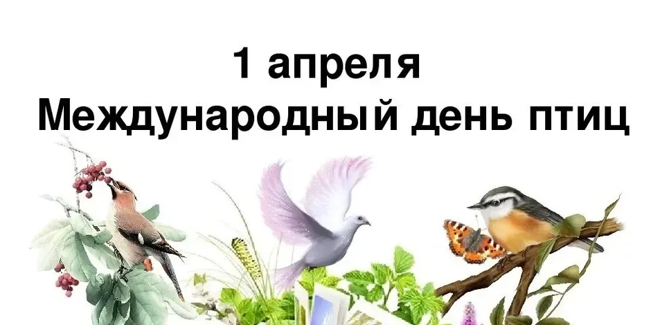 З