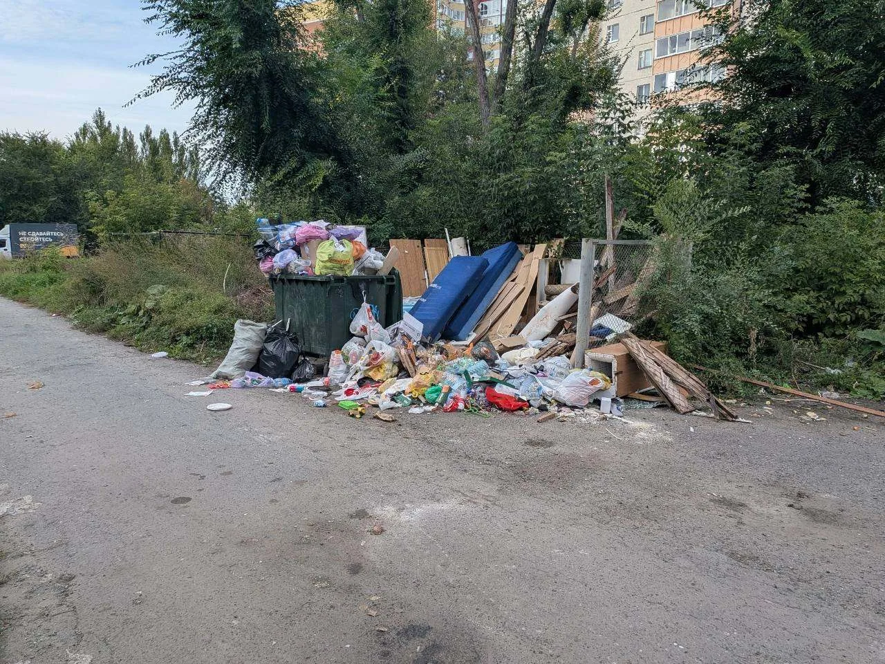 ✅ Контейнерная площадка у суда утопает в мусоре и вони ✅