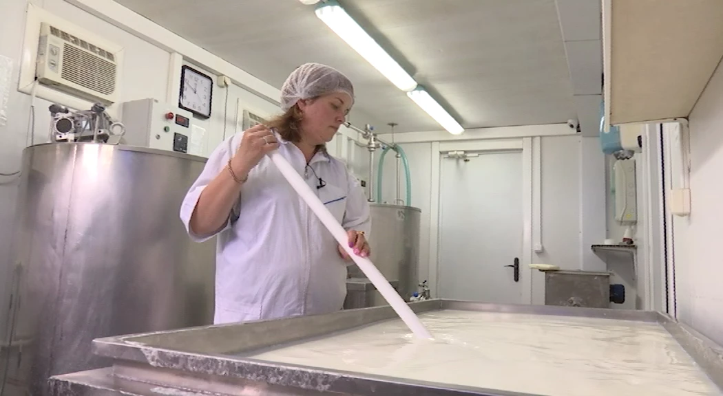 🥛 Суд отказал Юговскому молкомбинату в споре с налоговой на ₽600 млн