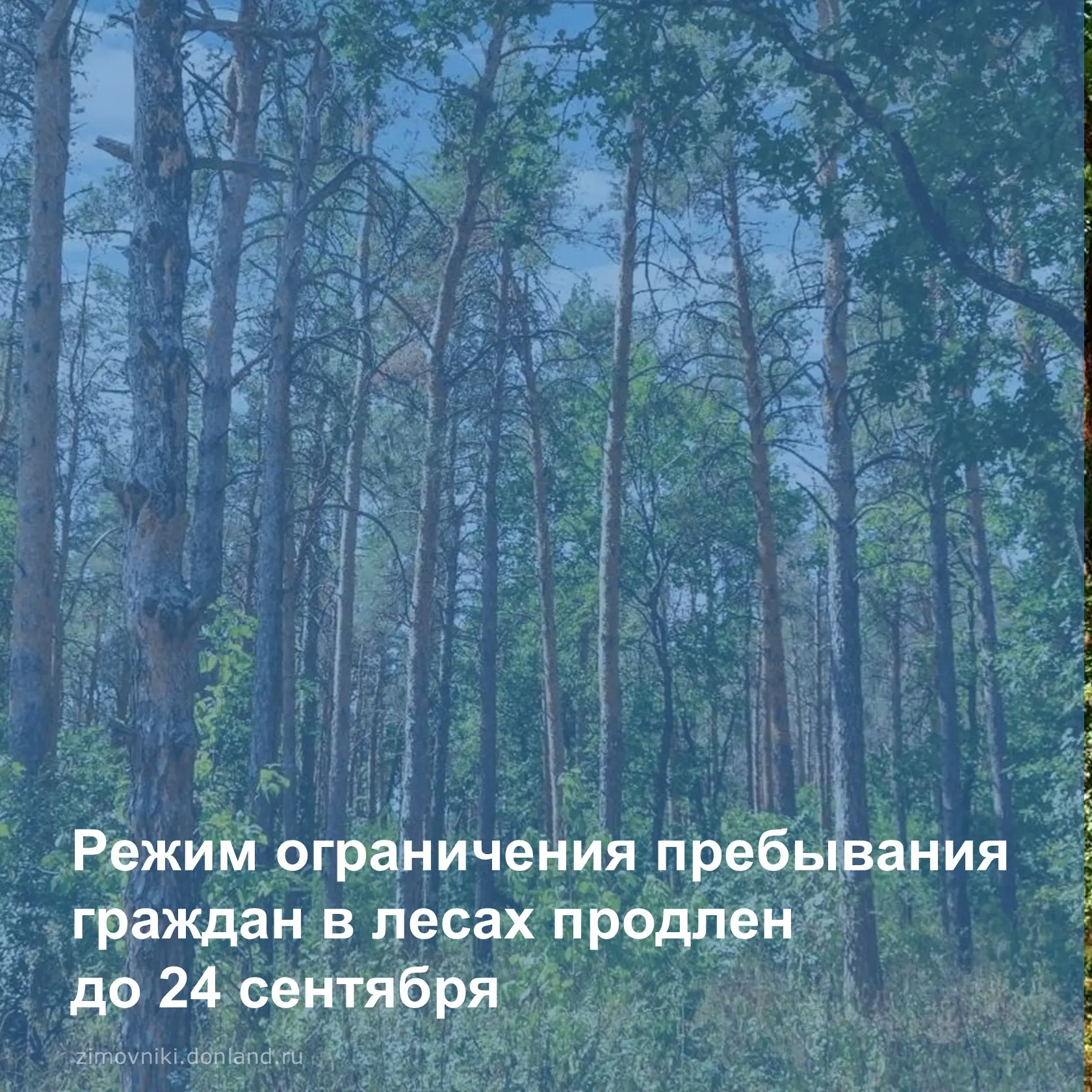 🌲Режим ограничения пребывания граждан и въезда в леса Ростовской области продлен до 24...