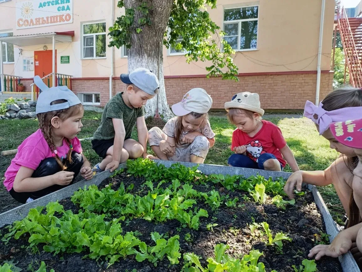Учимся трудиться и дружить, работая в огороде 🌻