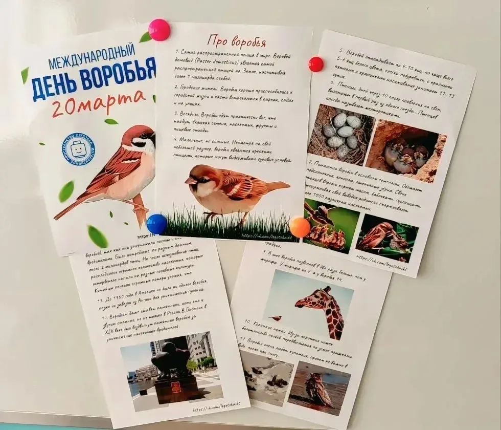 🐦День воробья в детском саду!  Знаете ли вы, что воробей — это не просто птичка, а настоящий герой с