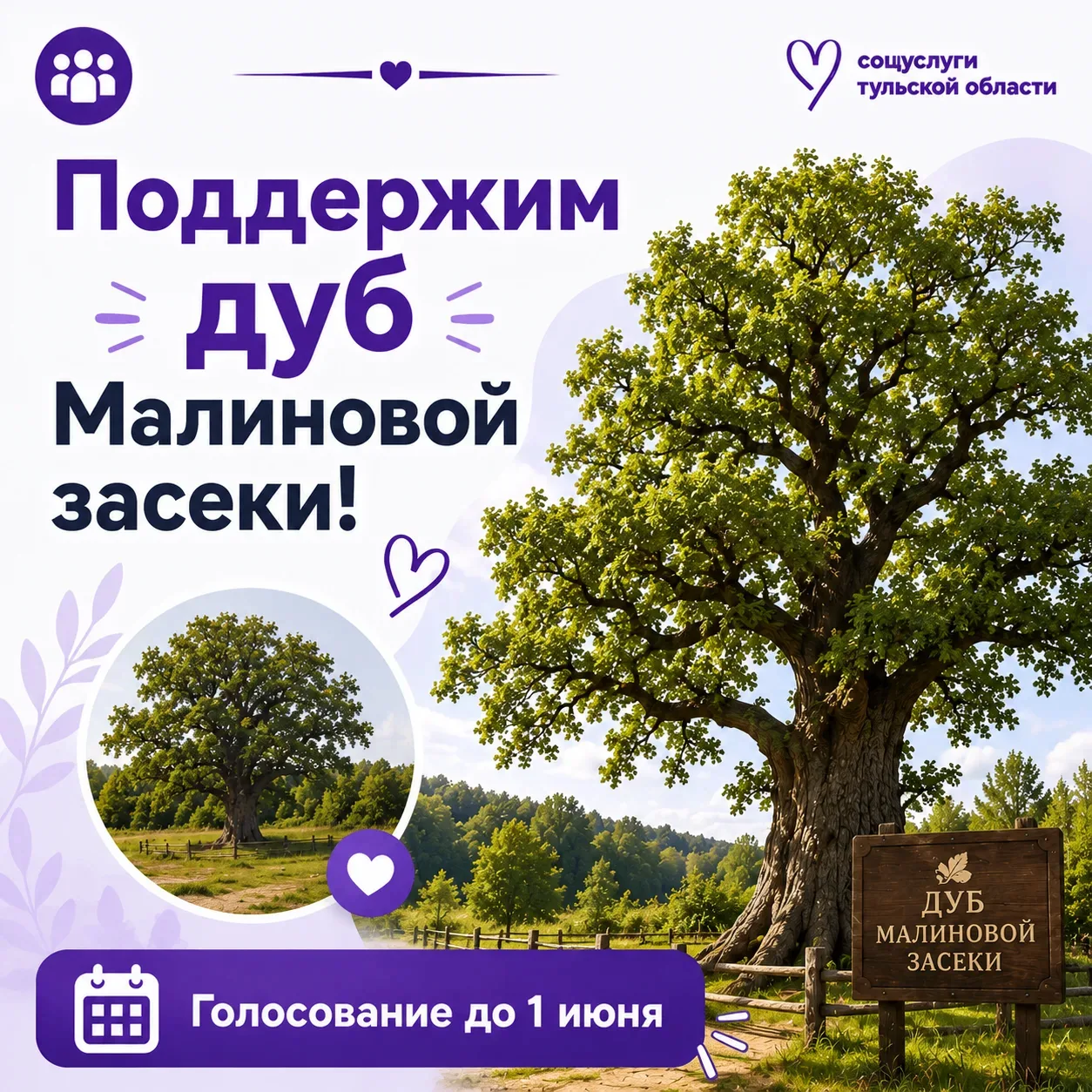 Символ тульской природы: поддержим дуб Малиновой засеки 🌳  Дуб Малиновой засеки представляет Тульску