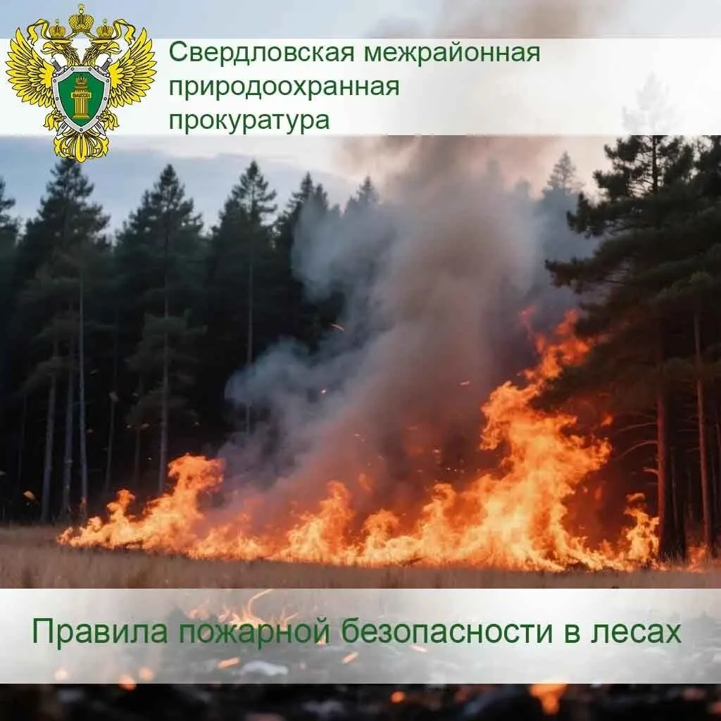 ПРАВИЛА ПОЖАРНОЙ БЕЗОПАСНОСТИ В ЛЕСАХ