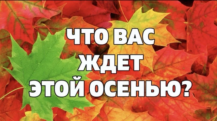 Хотите знать, что ждёт вас в сентябре? Скорее читайте этот пост.