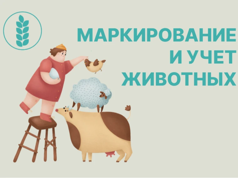 📢Жители Южного территориального управления! ВНИМАНИЕ!
