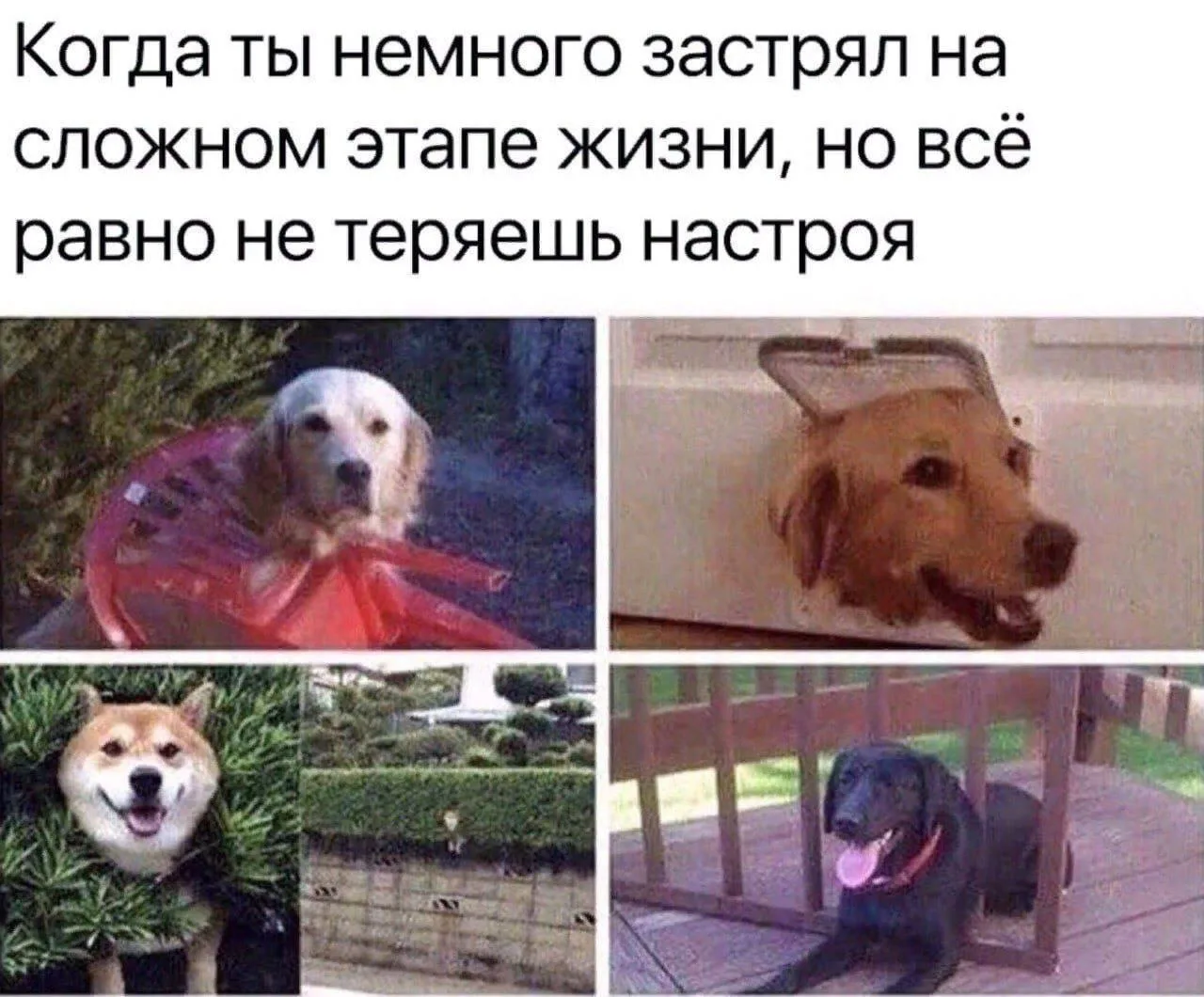 @memachh