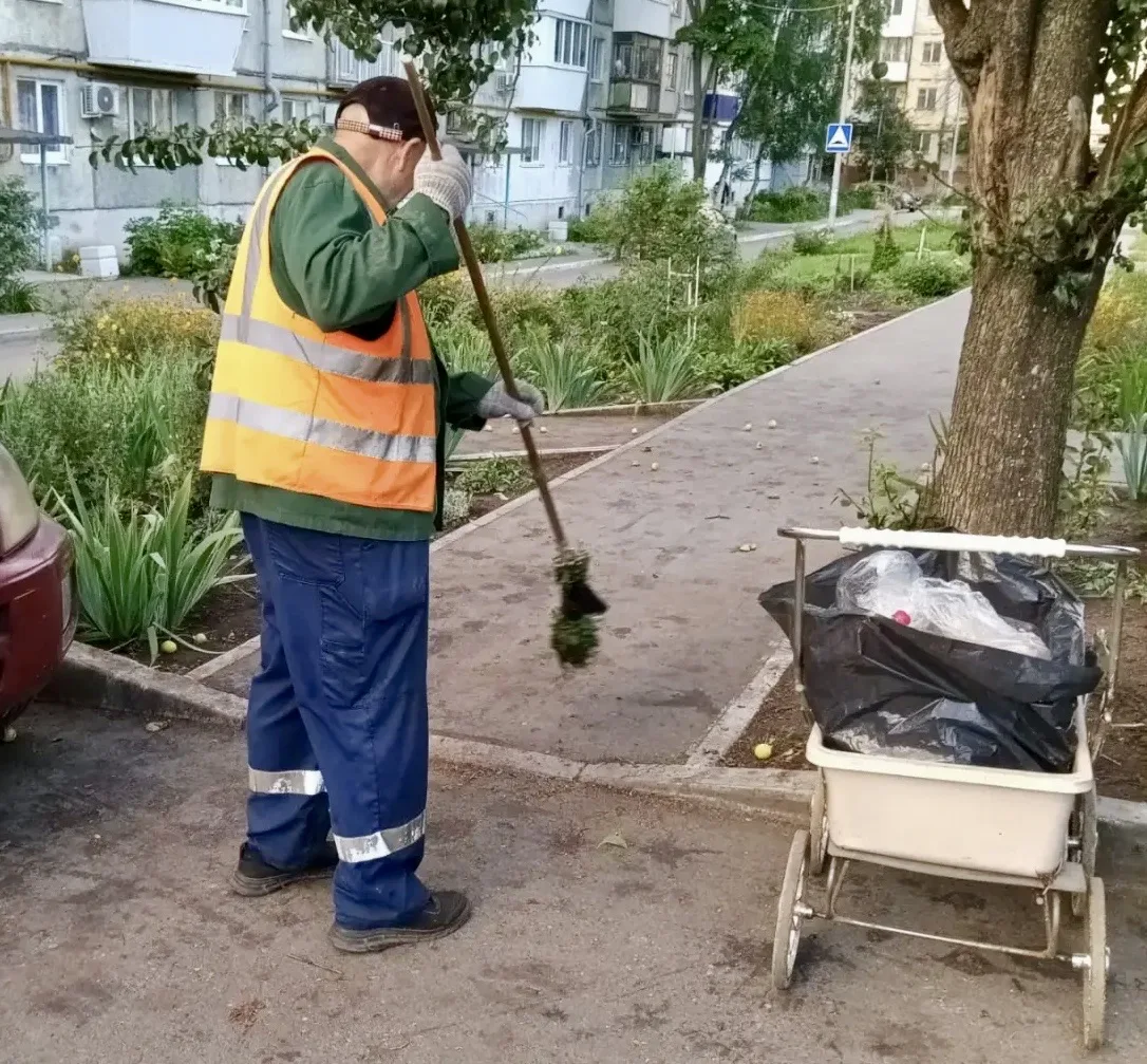 🧹Утренняя уборка придомовой территории и покос травы по адресам: