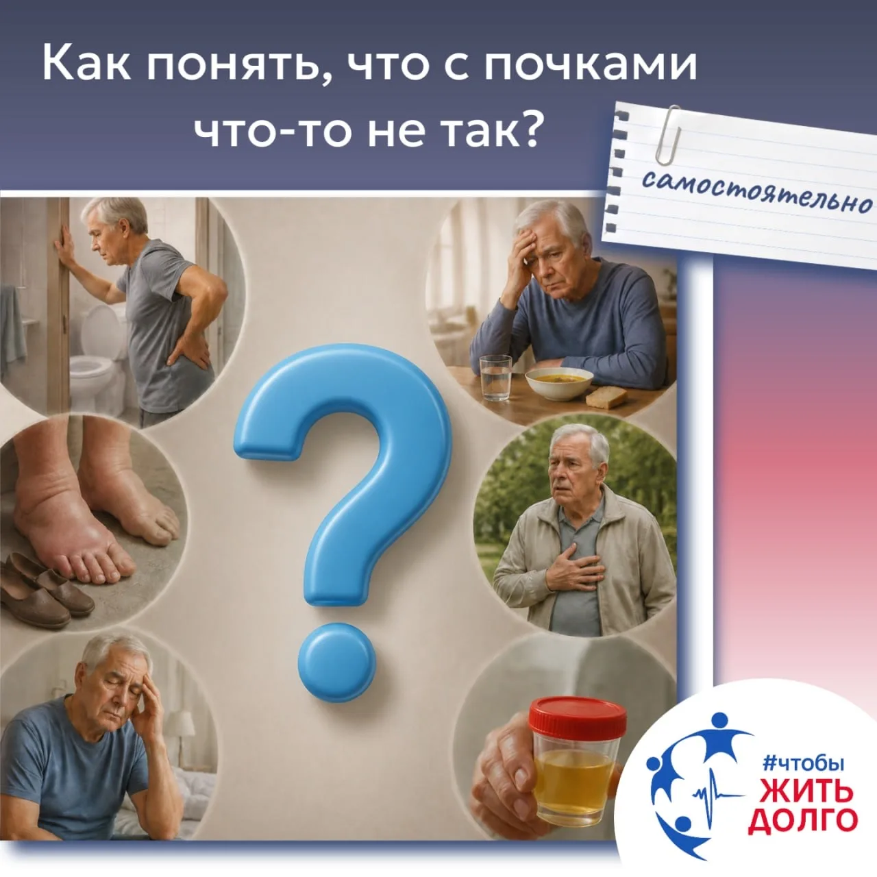 Как самостоятельно понять, что с почками что-то не так?