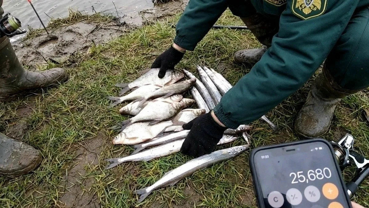 Весной многие рыбаки сталкиваются с крупными штрафами из-за незнания актуальных правил. Сотни любите