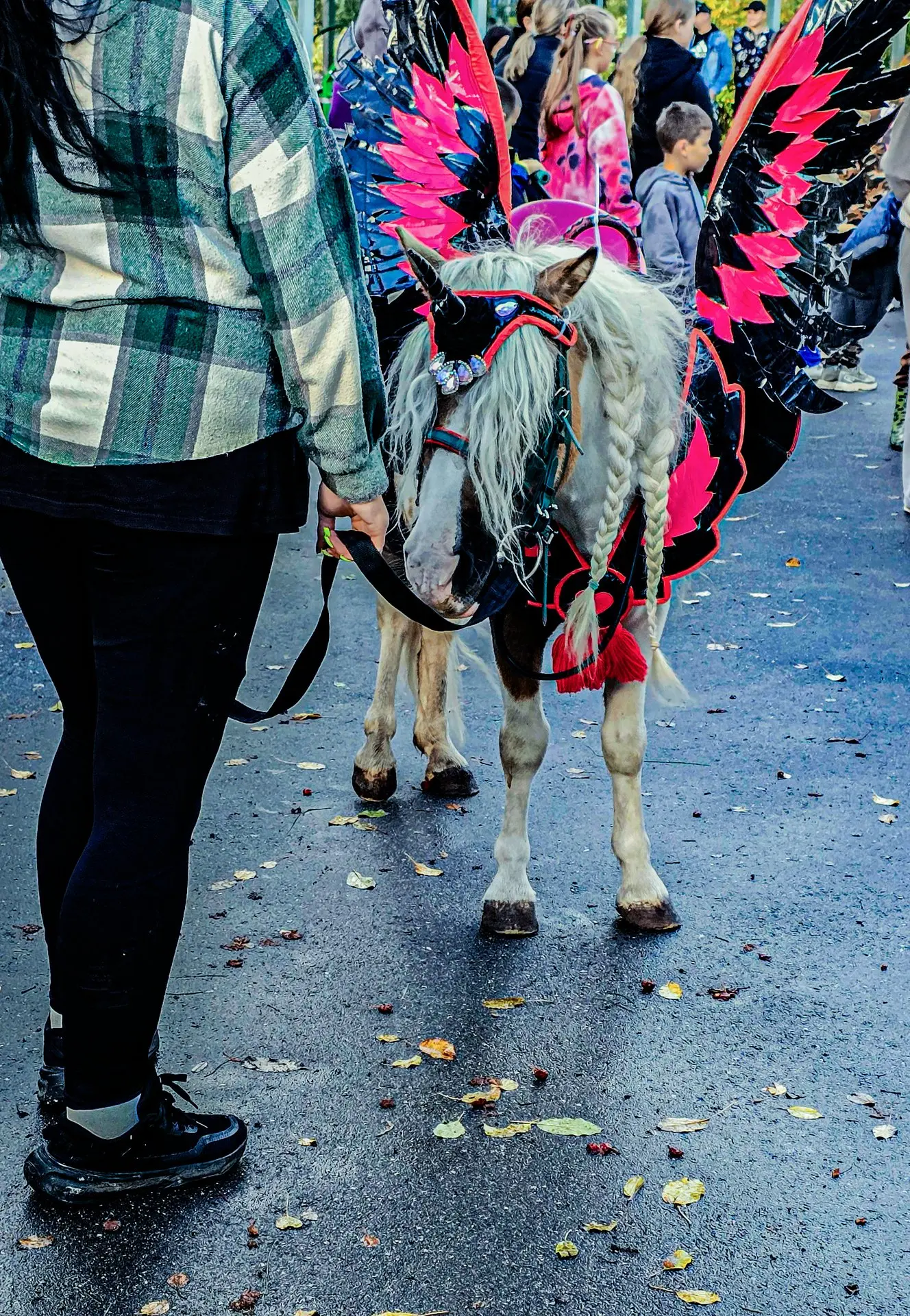💥🦄БИЗНЕС НА СЛЕЗАХ ЖИВОТНОГО!