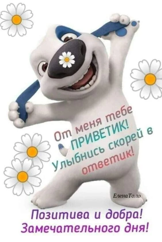 Не теряй нас, жми подписаться👇
МИР ОТКРЫТОК