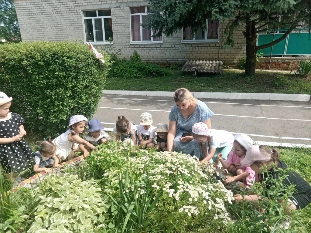 🌼 24 июня — День рождения Ромашки! 🌼

Недавно отмечался день рождения одного из самых красивых лет