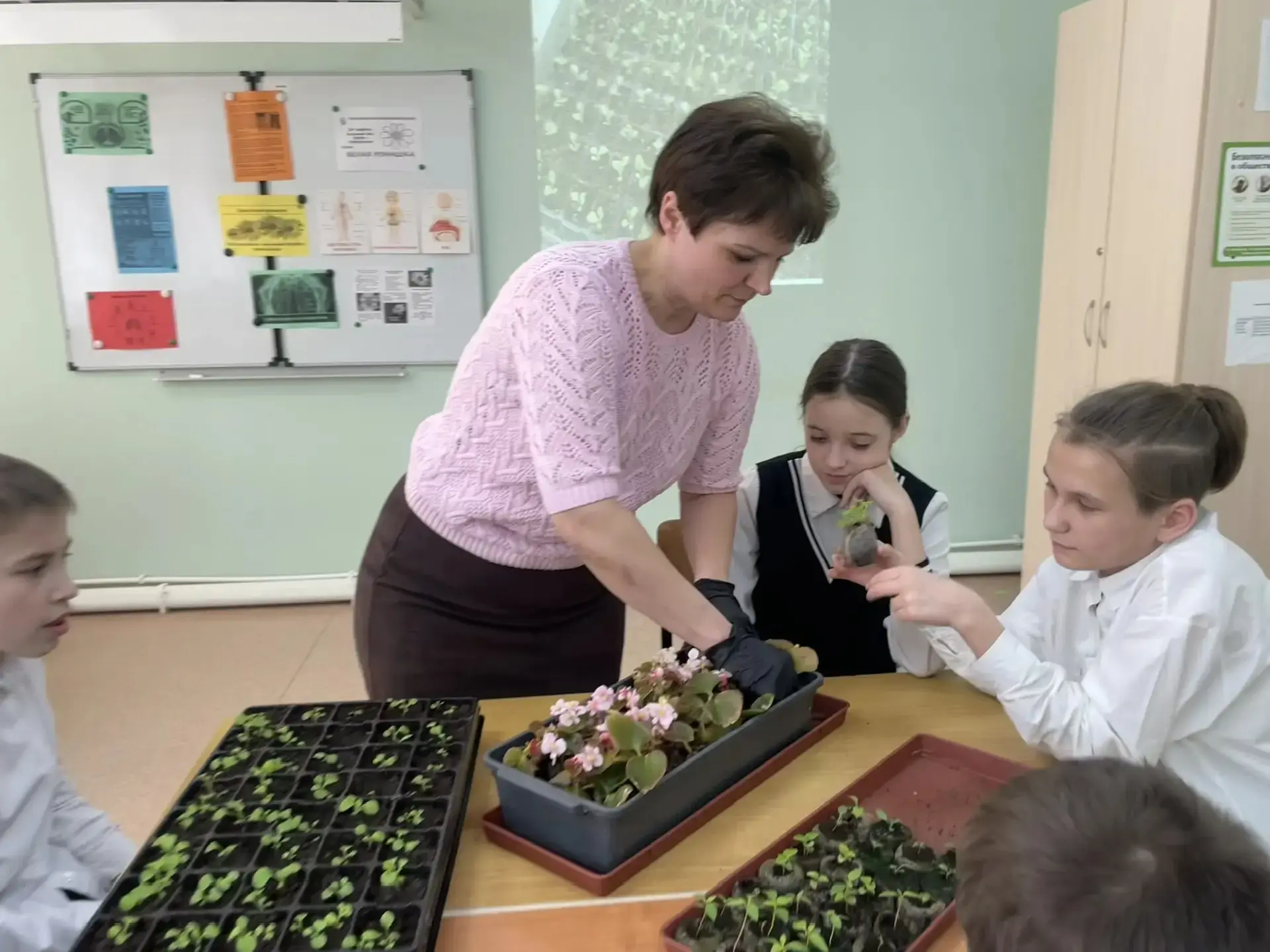🌿 Экологический двухмесячник в школе: в гармонии с природой!