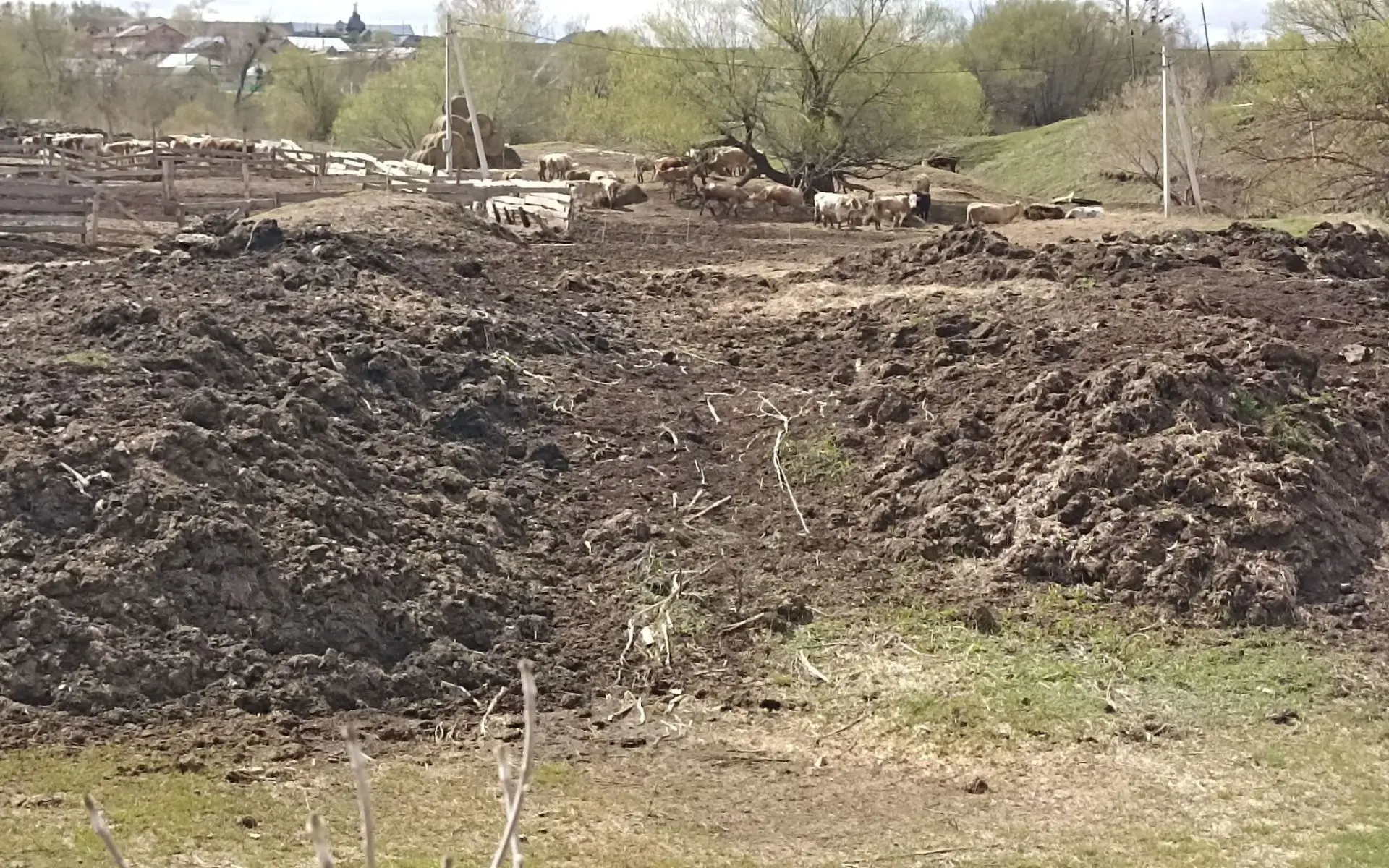 В Куюргазинском районе выявлены грубые нарушения водоохранного законодательства

Подробнее: https://
