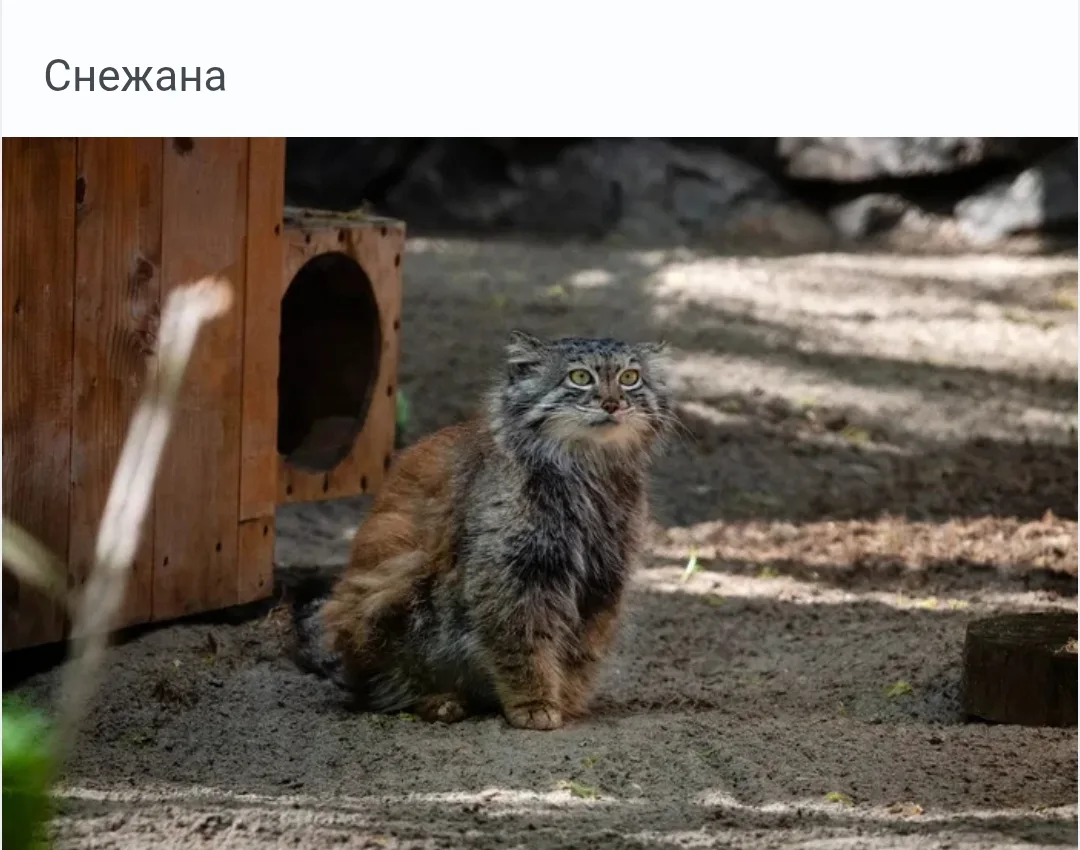 Поздравляем!⁠🎉🎉🎉