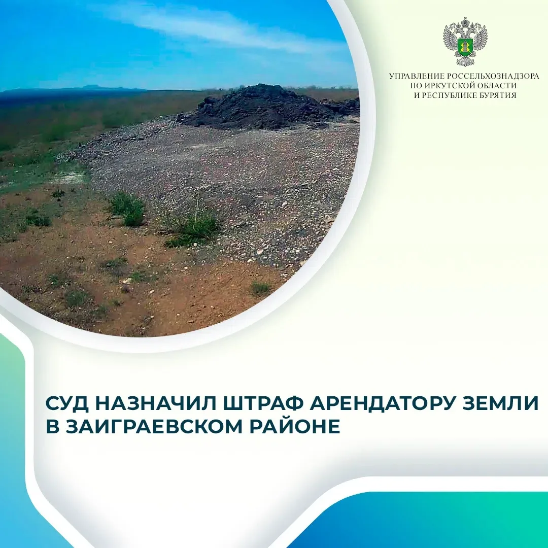 📣Привлекли 
к ответственности 

Арендатора 
земельного участка 
в нашем районе 
⬇️
местности «Увал»