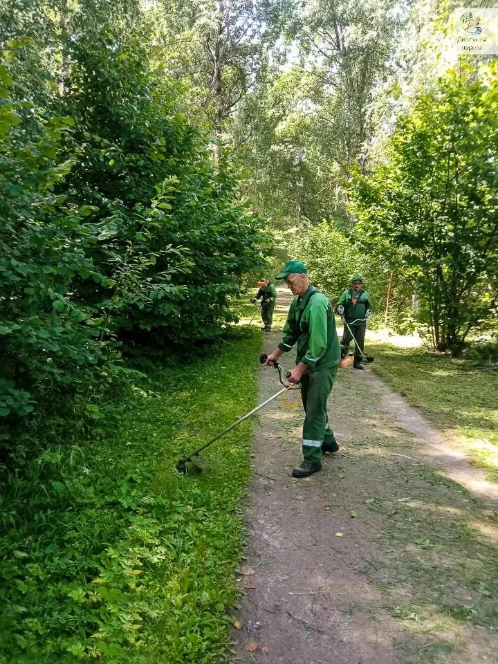 Мы живём в мире, где все постоянно куда-то торопятся, спешат жить…Но есть места, где вр...