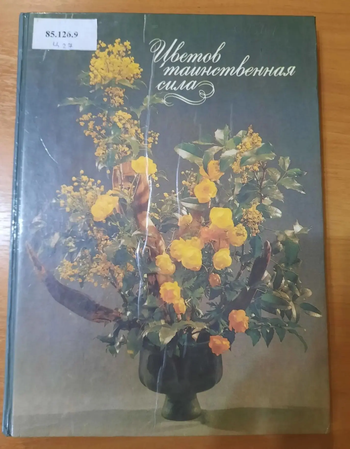 «ЦВЕТОВ ТАИНСТВЕННАЯ СИЛА»🥀