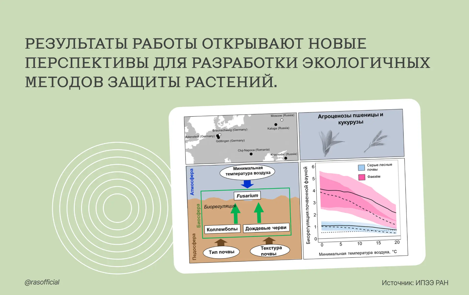 Ключ к здоровью почвы