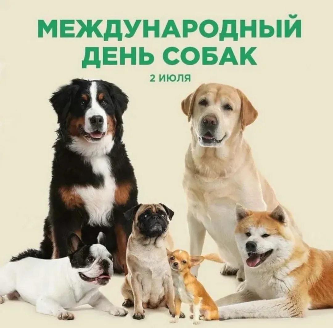 Международный день собак 🐶