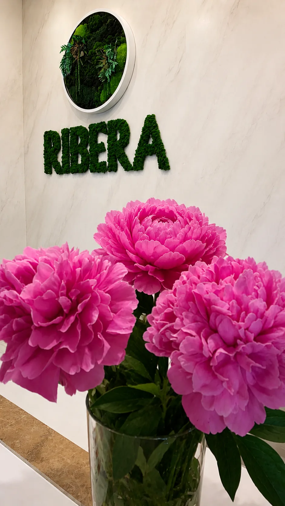 СПА-комплекс Ribera  - это пространство отдыха, где тело расслабляется, а мысли становятся тише 🌿

