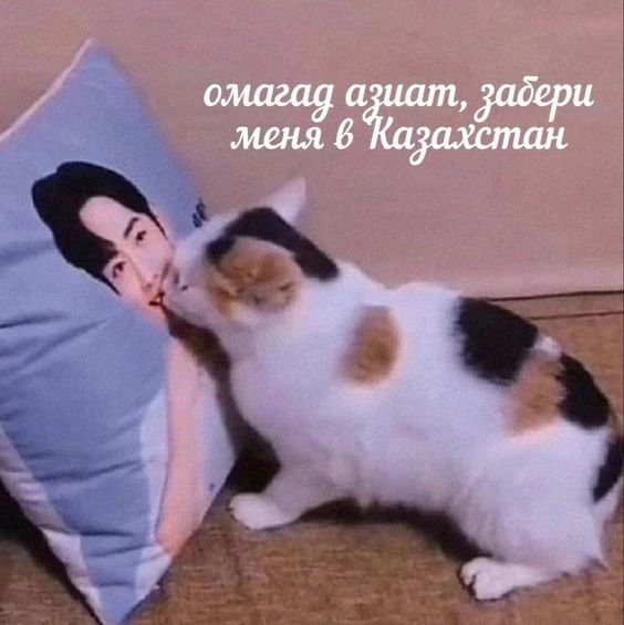 РАК, 22 июня. Скоро тебя заберут в другую страну

🛑Твои личные предсказания судьбы в нашем боте - m