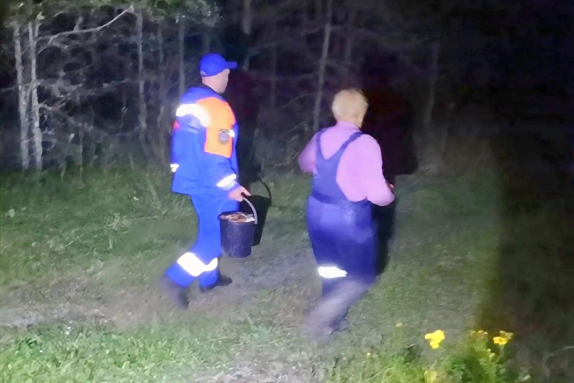 В Ленобласти спасатели вывели из леса заблудившуюся женщину