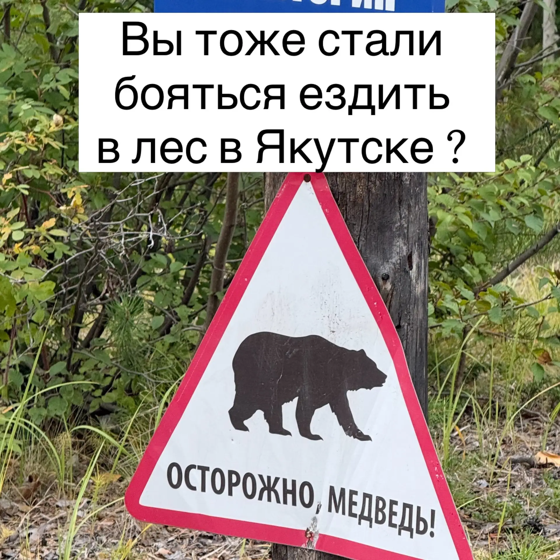 «Даже возле Якутска в лес съездить уже страшно»: горожанка рассказала о тревоге из-за м...