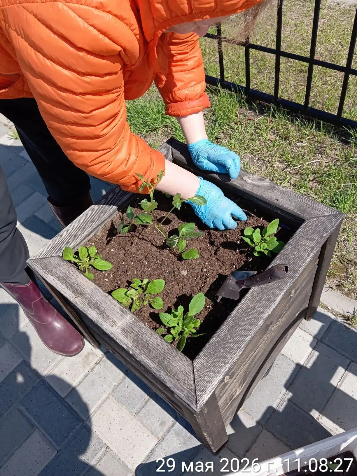 Обновление земли в вазонах и посадка цветов на ул.С.Билецкого, 7,9, Ивана Захарова, 9/1