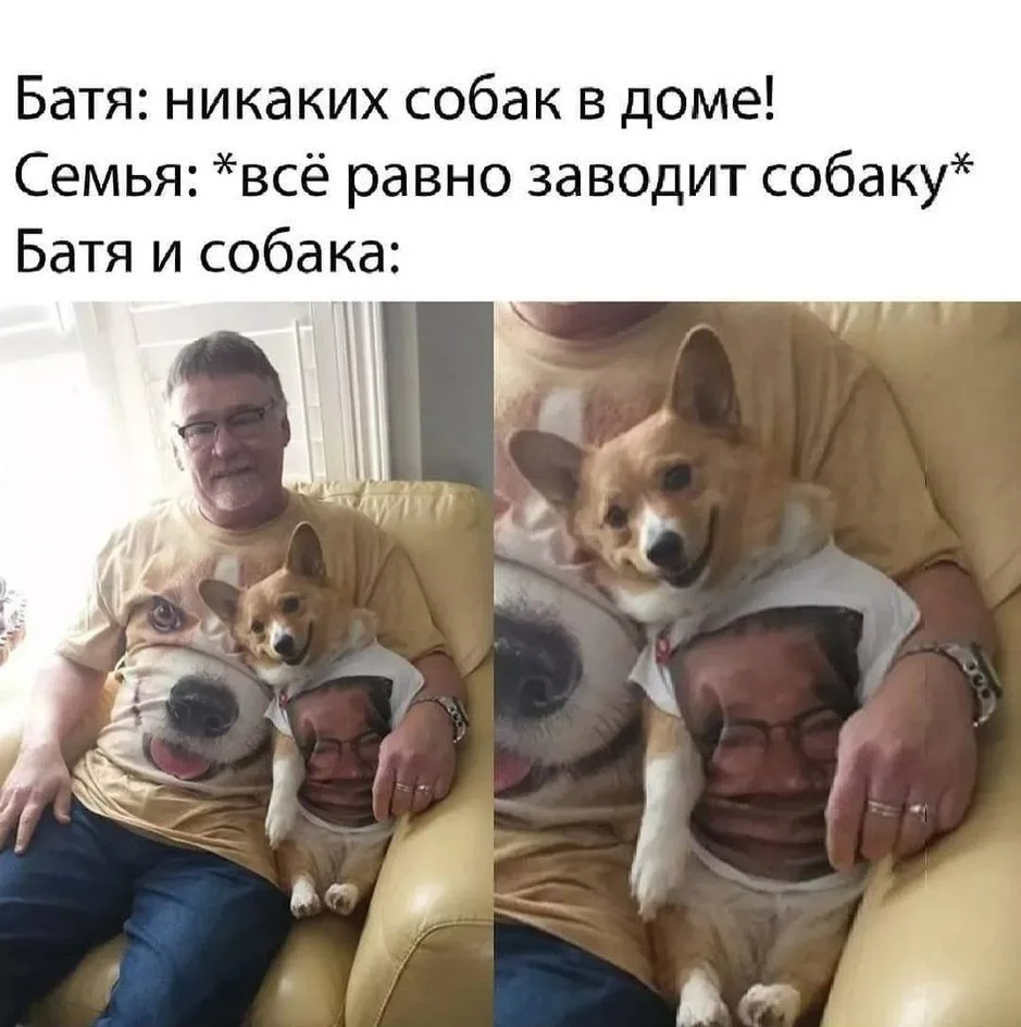 🐶 В Татарстане усилят правила содержания собак в жилых помещениях

Потенциально опасные породы нель