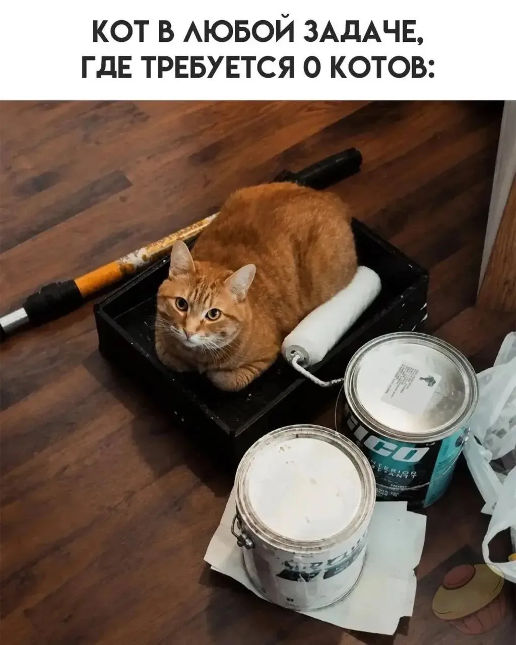 Сударыни, что у нас сегодня на ужин?! Правильно! Ворованные мемы! Сочные, горячие, прожаренные. Пока