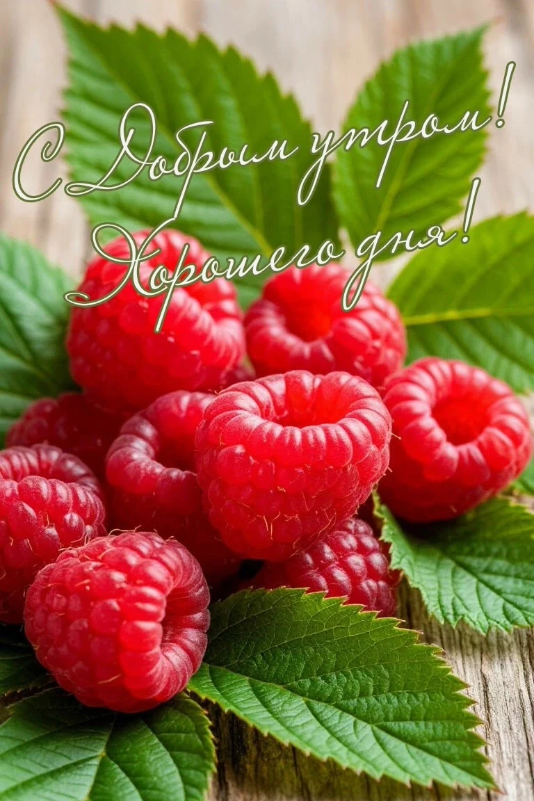 Добрые открытки