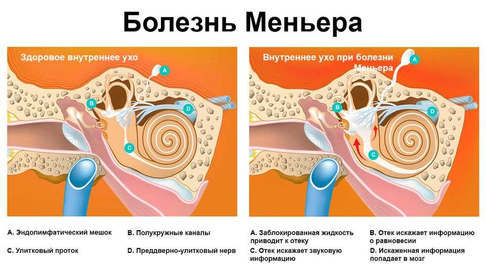 Изображение 1 к публикации «Агрессивный врач»