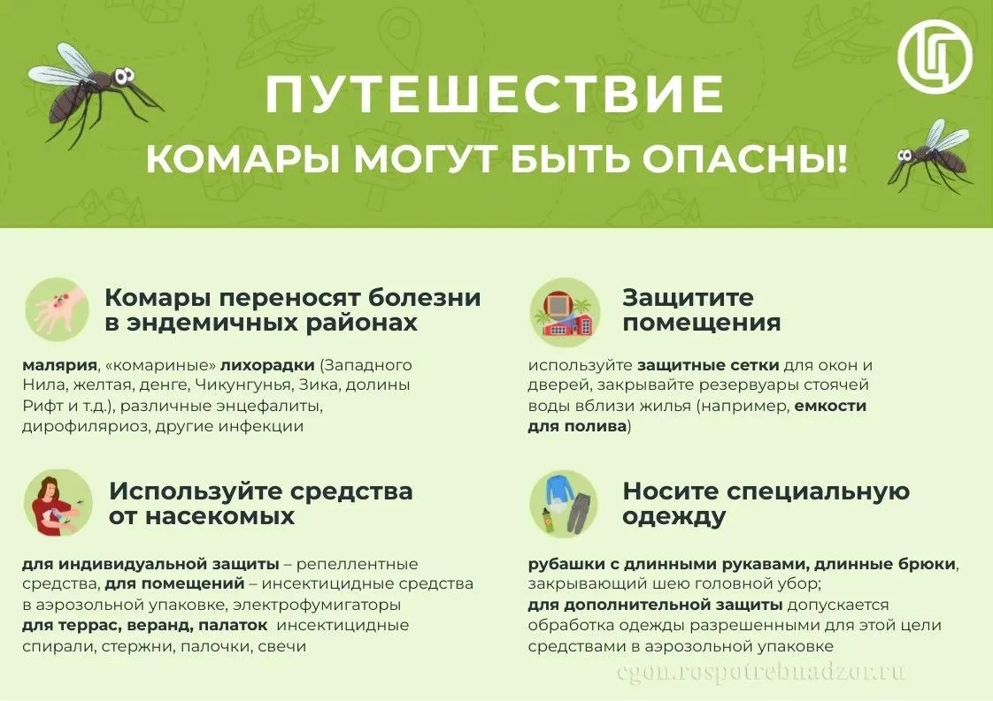 20 августа — Всемирный день комара 🌍🦟