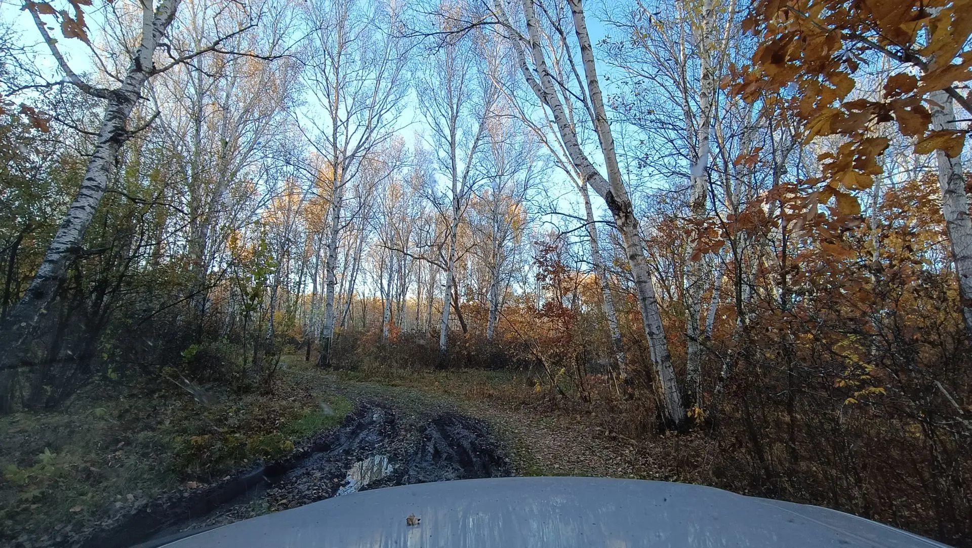 🍂🍁 Ещё немного осенних пейзажей! 😍