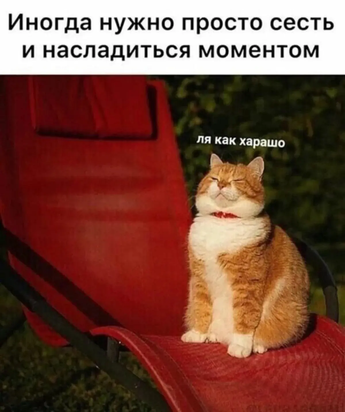 Сейчас главное, чтобы июнь был в курсе, что он - июнь!

Смотрю он с этим неплохо справляется….

Насл
