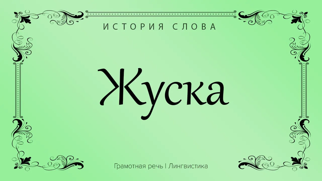 Жуска - это когда вас оскорбили, прилюдно унизили, а вы не нашли как ответить своему об...