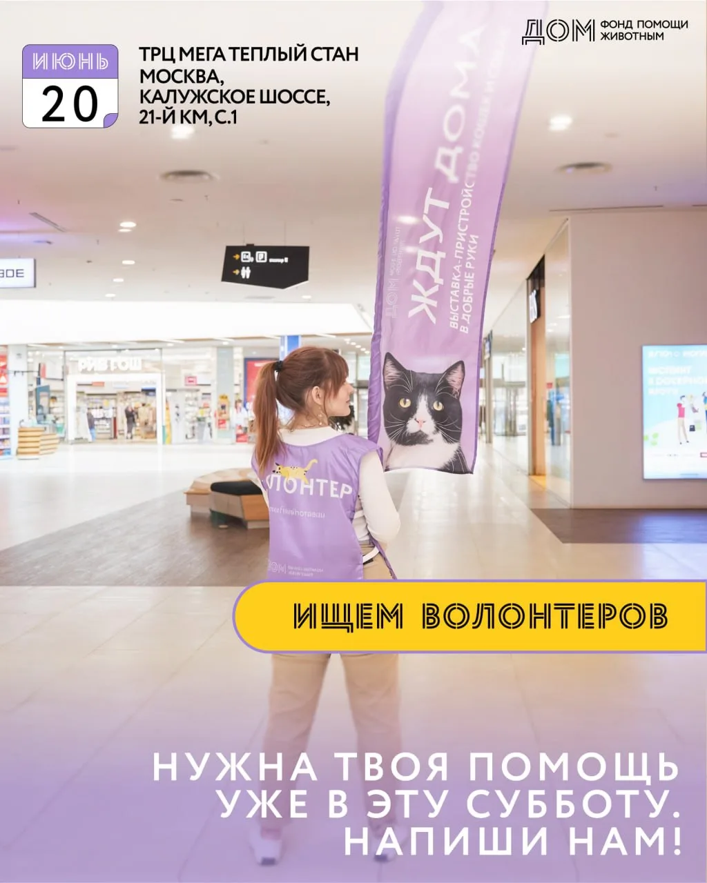 Ищем волонтёров на выставку «Ждут ДОМа» в эту субботу в ТРЦ Мега Тёплый Стан 🐾

Нам очень нужна пом